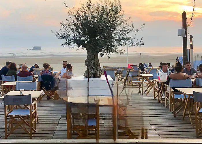 Superbe Duplex 50 Metres De La Plage